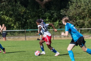 Bild 66 - wBJ VfL Pinneberg - Hamburger SV 2 : Ergebnis: 1:3